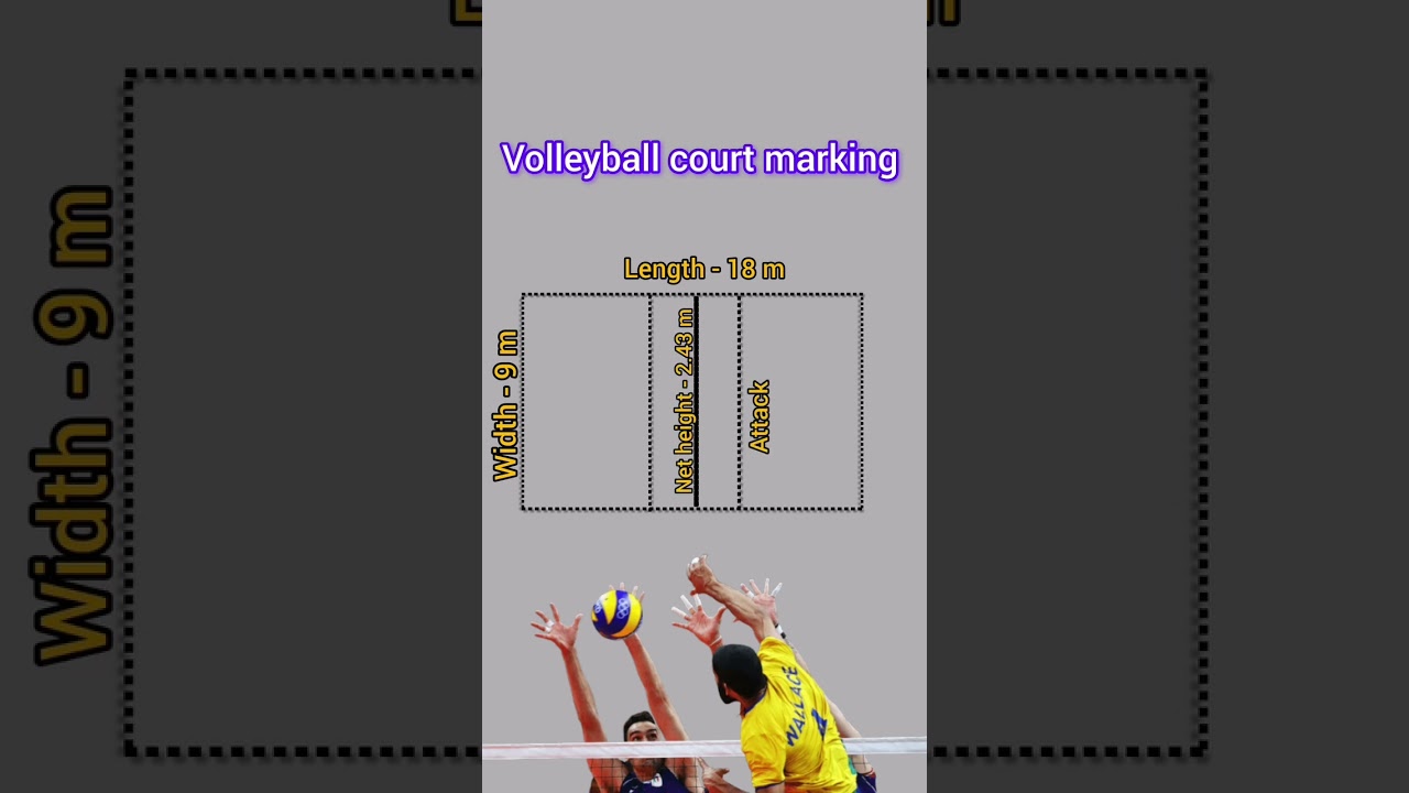 VOLLEYBALL COURT MEASUREMENTS #physicaleducation