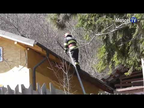 Jurnal MUSCEL TV 22.03.2022 Copac căzut pe o casă la Câmpulung