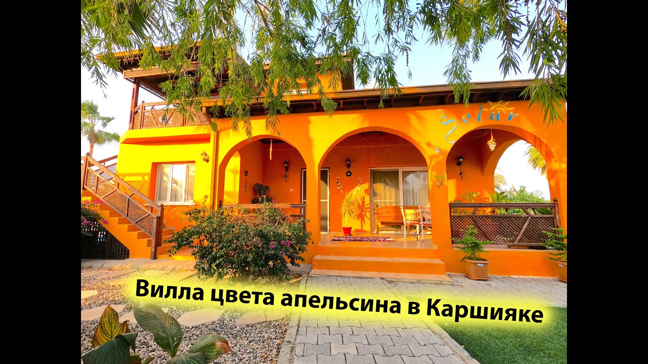 video image