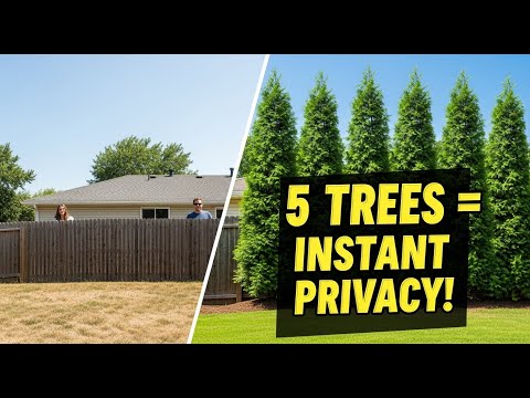 5 Fast Growing Trees for Instant Backyard Privacy