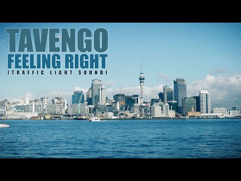 Tavengo - Feeling Right [Music Video] | Sounds of Auckland [New Zealand]