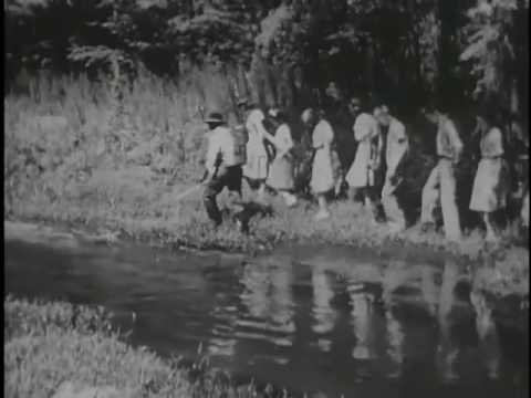 Health Education against Malaria [1944]