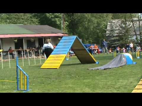 1 5 2009 Jirkov Agility