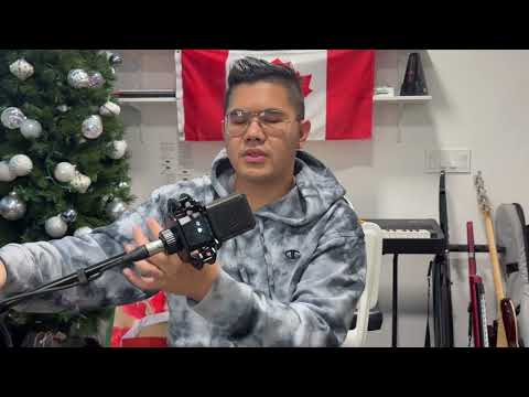 Lewitt LCT 441 Flex REVIEW