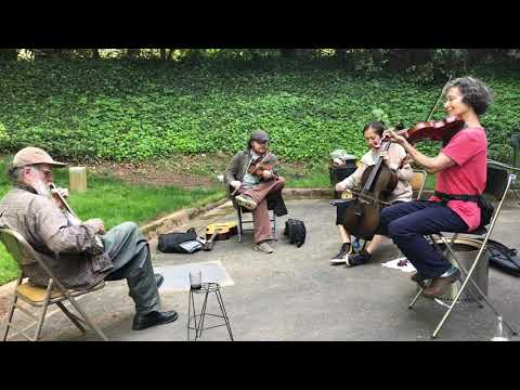 Stone Mountain Wobble -  Evan and Miss Moonshine fiddles, Mick banjo, Sarah Adams cello