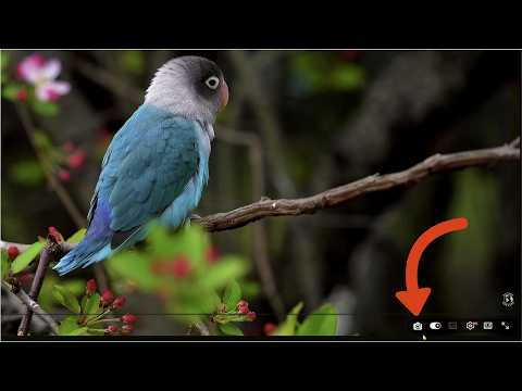 Item video thumbnail