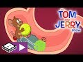 The Tom and Jerry Show | Tom, Jerry And The Ball | Boomerang UK 🇬🇧