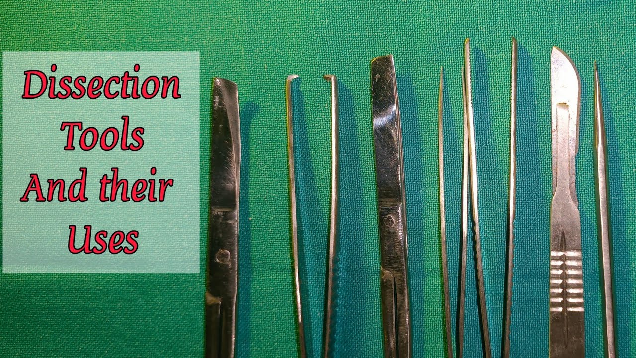  Dissection Tools Explained with functions | Anatomy MBBS