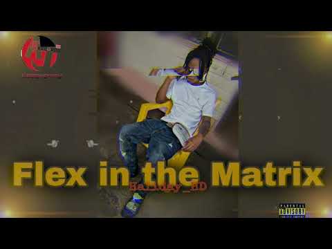 Haliday HD - Flex In The Matrix (Official Audio)