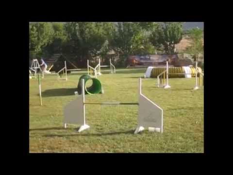 Shera & April on agility competition in Greece September 2014