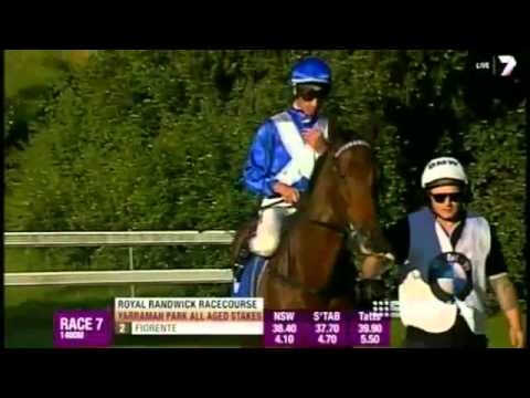 Johns agrees to front More Joyous inquiry