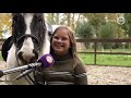 Oliebollen vliegen over toonbank om vereniging van ondergang te redden