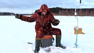 Ловля окуня в камышах канал добыча
