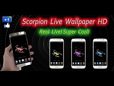 Scorpion Live Wallpaper Video