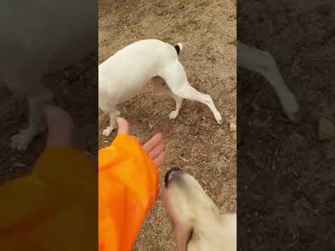 Zulma Ara März 2022