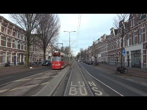 HTM tramlijn 16 Den Haag Statenkwartier - Wateringen Dorpskade | GTL8 3113 | 2019