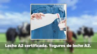 Productos Lácteos Con Colágeno
