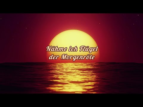 Nähme Ich Flügel Der Morgenröte - Robin Goodwyn
