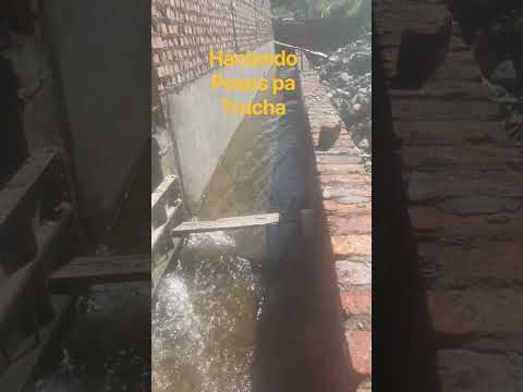 Canal de Agua para Criadero de Truchas | Avance de Construcción en Cincelada, Santander