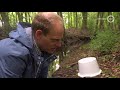 Heeft zeldzame beekprik extreme droogte overleefd?