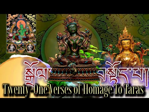 ☸Dolma 21 Prayer(སྒྲོལ་མ)Twenty-One Verses Homage To Taras|Tibetan Prayer, Monastery Monks Chanting