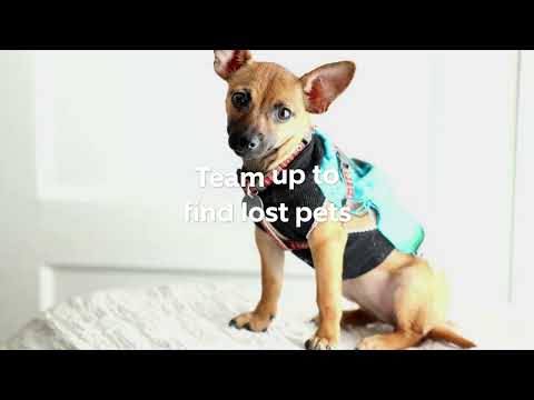 Neighbors by Ring Video