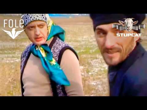 Stupcat - Asllan Pisi