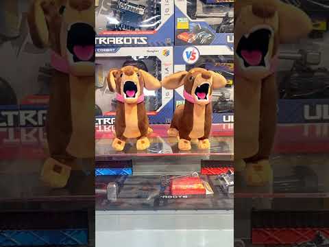 ЧАПИТОСИКИ ПОТЕРЯЛИСЬ?😨😨😨