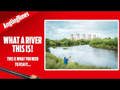 So meistern Sie den Fluss Trent ... und seine großen Barben!