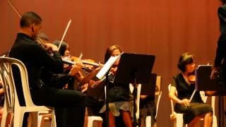 Jesu Joy of man's desiring - J.S. Bach