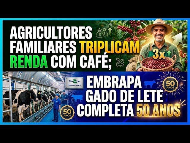 Agricultores familiares triplicam renda com café; Embrapa Gado de Leite completa 50 anos.
