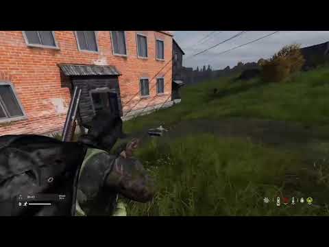 Wir töten alles was uns in die Quere kommt! | DayZ | Kappo