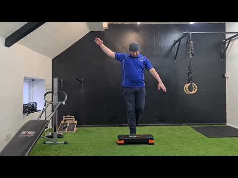 Stair Vestibular Perturbation