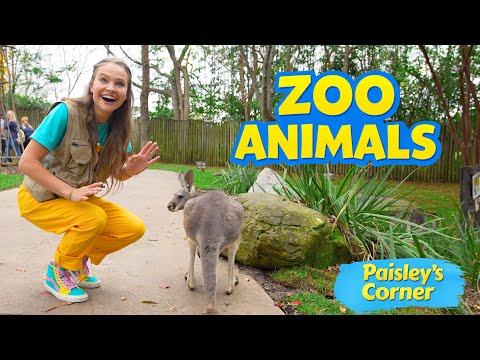 Witness21 Editor  2024 11 23