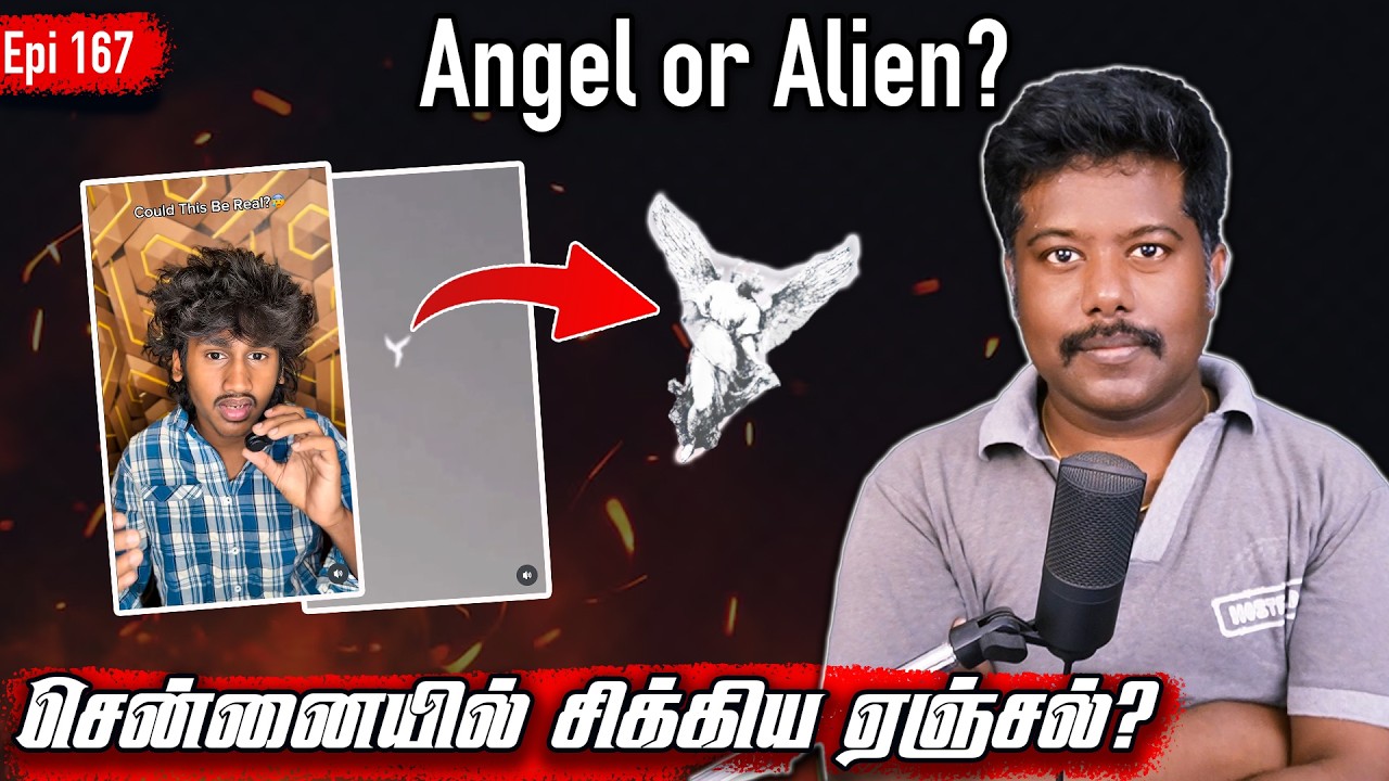Angel caught on Chennai | sfit | Debunked | சென்னையில் சிக்கிய ஏஞ்சல்
