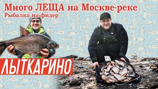 Фидер на москве реке летом 2020