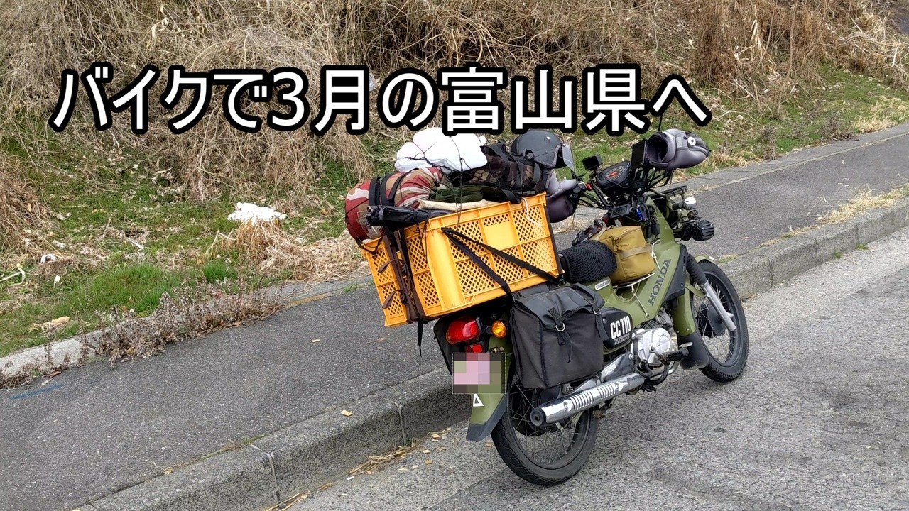 ホタルイカ掬い旅の心得｜行く前にこれだけは確認しておいてください！