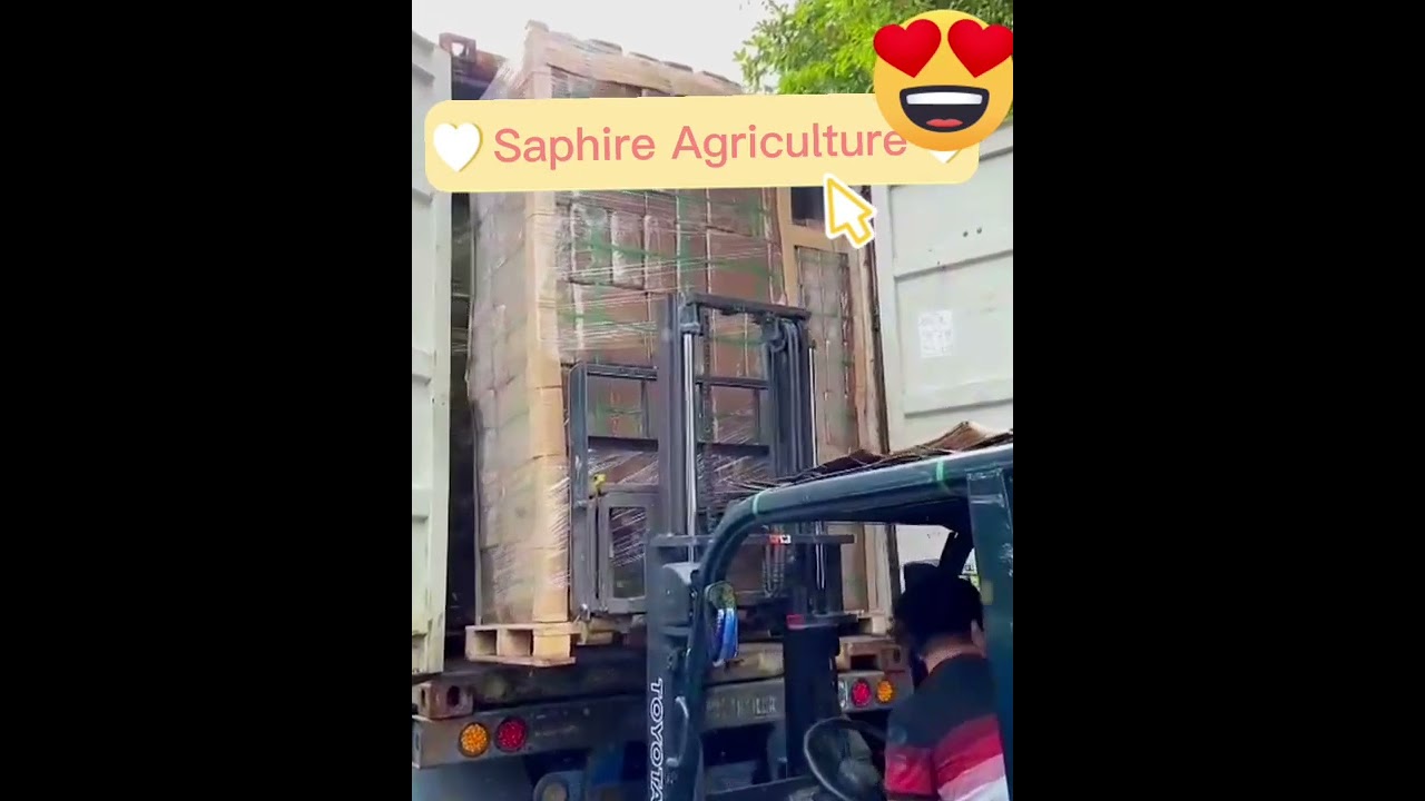 Cheap coco Peat block 5kg