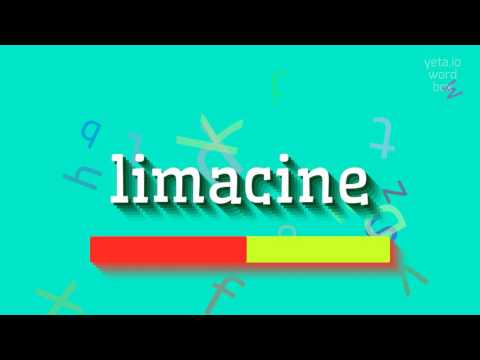 How to say "limacine"! (High Quality Voices)