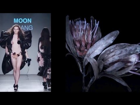 Moon Chang | Fall Winter 2021/2022 | Digital