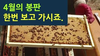 4월의 봉판 한번 보고 가시죠.