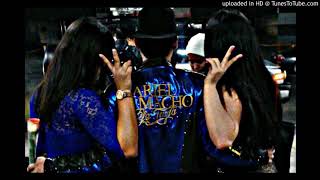 Ariel Camacho y los plebes del rancho - Las Diferencias