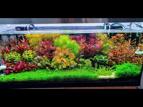 Watch Video on YouTube