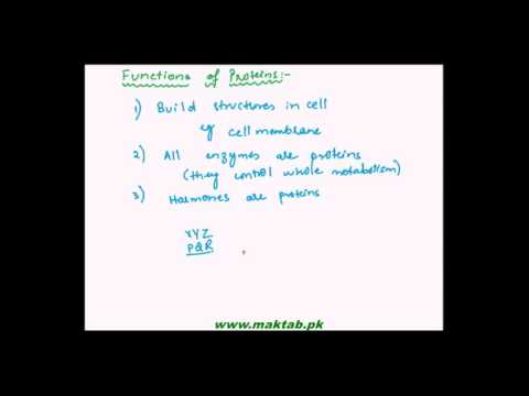FSc Biology Book1, CH 2, LEC 8: Introduction to Proteins and its Functions