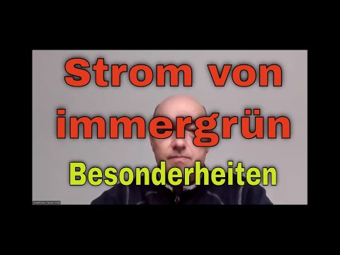 Strom von immergrün?  Das solltest du beachten.
