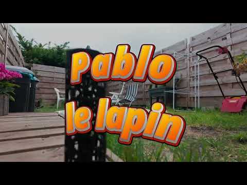 Pablo le lapin