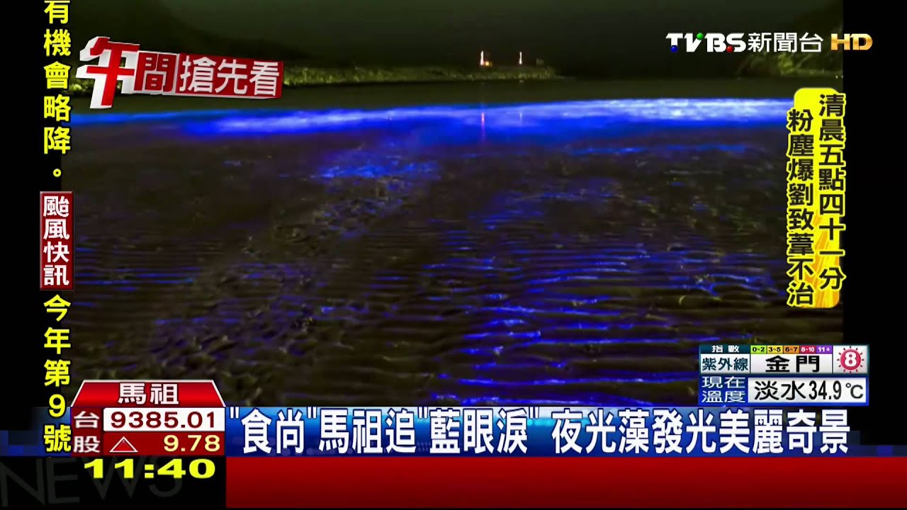 《食尚》馬祖追「藍眼淚」　夜光藻發光美麗奇景