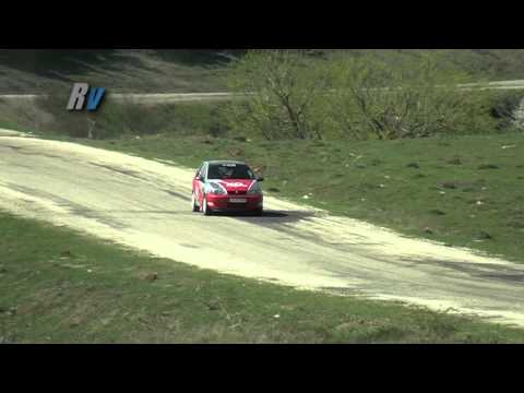 2012 Eskişehir Rallisi / Yiğit Timur - Efe Ersoy / Fiat Palio