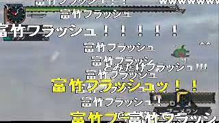 【MHP2G】ブーメランハンター日記【ゲリョス編】 sm6660327low
