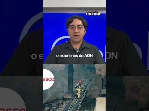 BBCL en 5: Viernes 20 de febrero de 2026